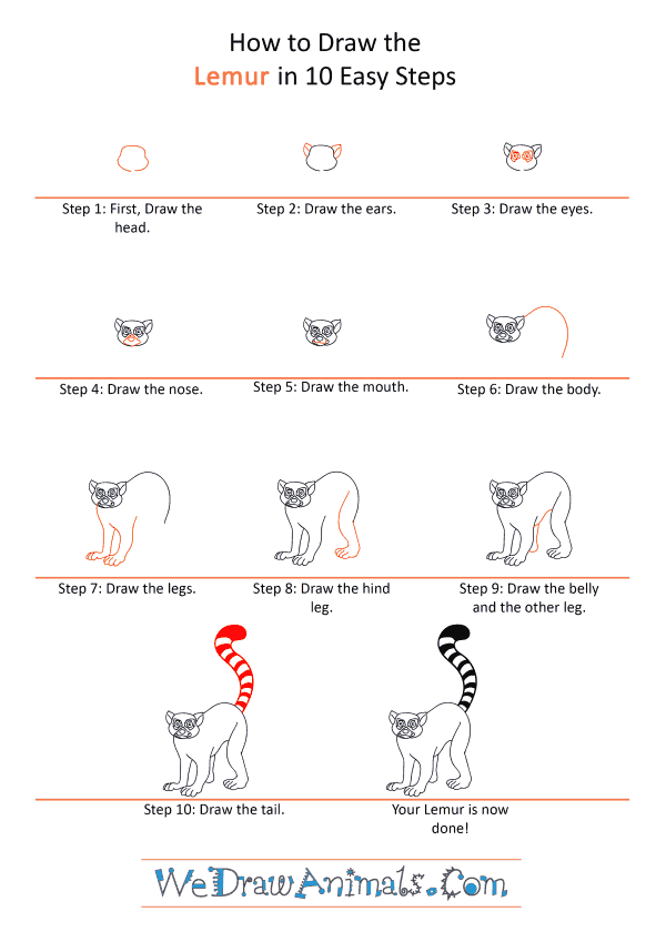 How to Draw a Cartoon Lemur - Step-by-Step Tutorial