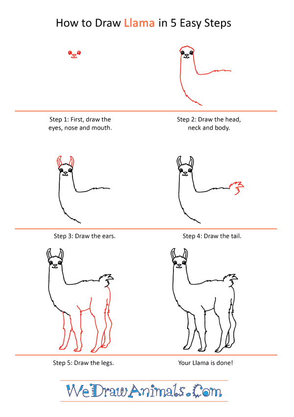 How to Draw a Cartoon Llama - Step-by-Step Tutorial