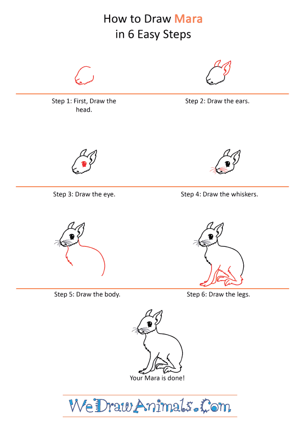 How to Draw a Cartoon Mara - Step-by-Step Tutorial