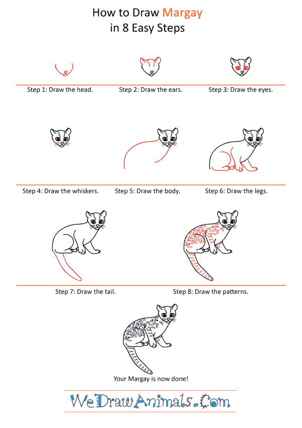How to Draw a Cartoon Margay - Step-by-Step Tutorial