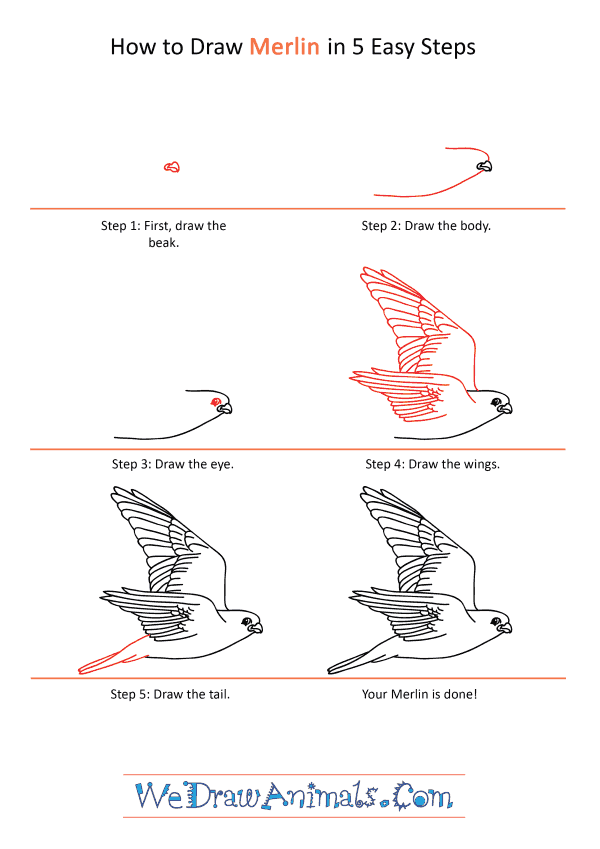 How to Draw a Cartoon Merlin - Step-by-Step Tutorial