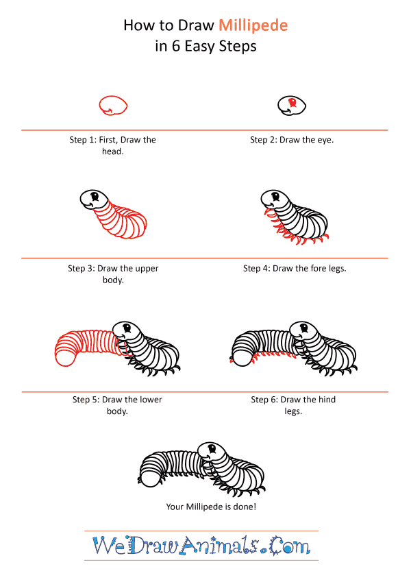 How to Draw a Cartoon Millipede - Step-by-Step Tutorial
