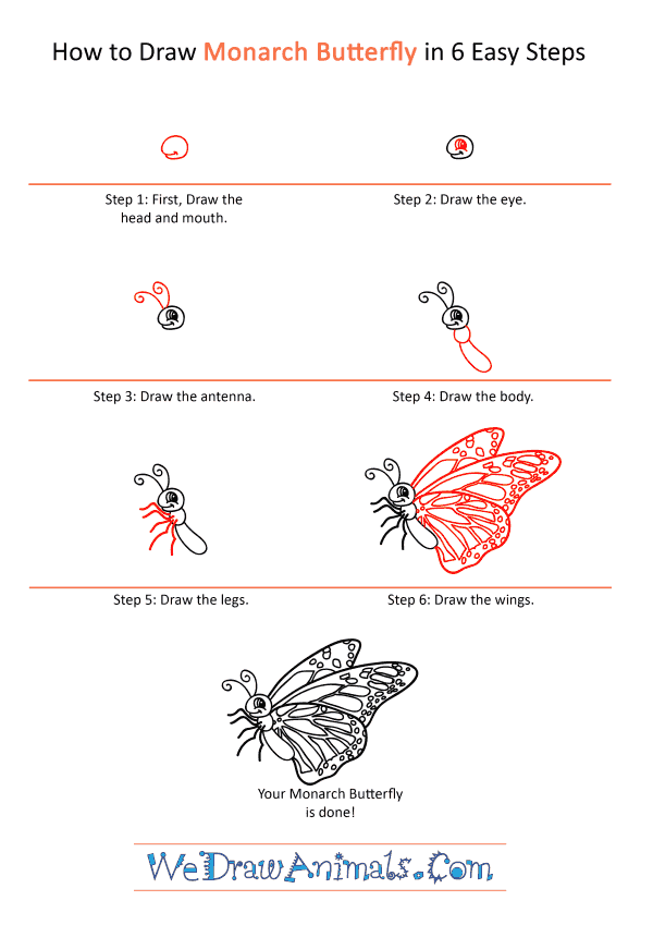 How to Draw a Cartoon Monarch Butterfly - Step-by-Step Tutorial