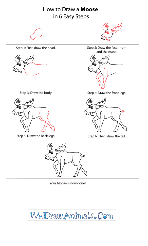 How to Draw a Cartoon Moose - Step-by-Step Tutorial