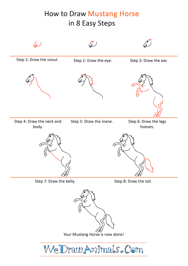 How to Draw a Cartoon Mustang Horse - Step-by-Step Tutorial