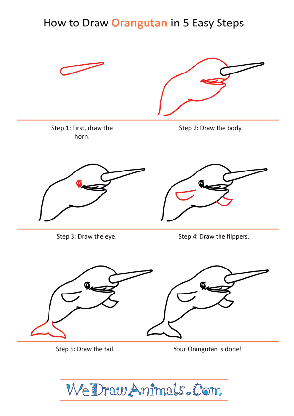 How to Draw a Cartoon Narwhal - Step-by-Step Tutorial