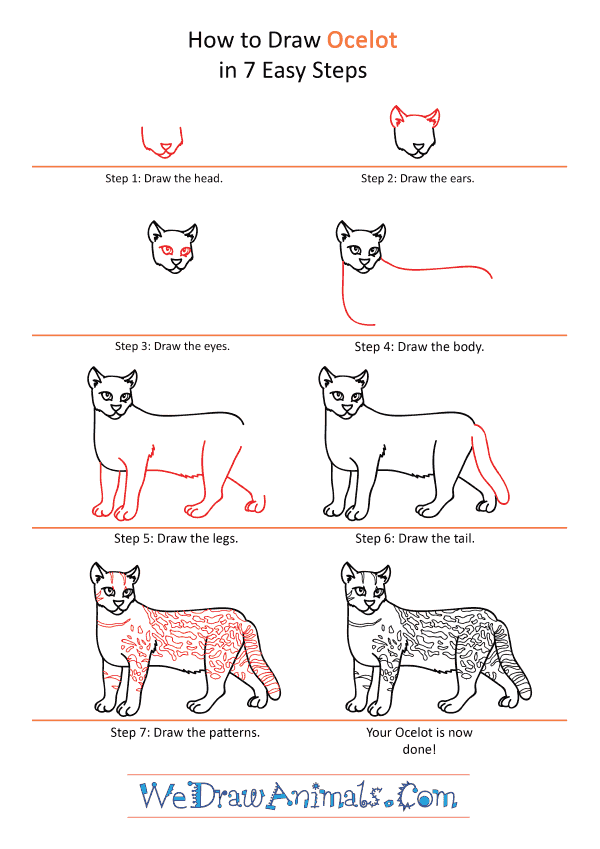 How to Draw a Cartoon Ocelot - Step-by-Step Tutorial