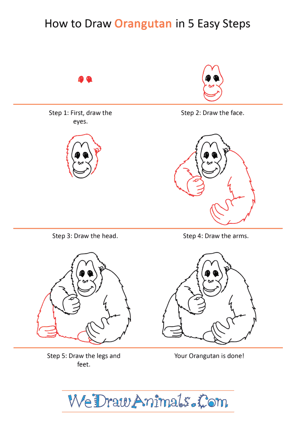 How to Draw a Cartoon Orangutan - Step-by-Step Tutorial