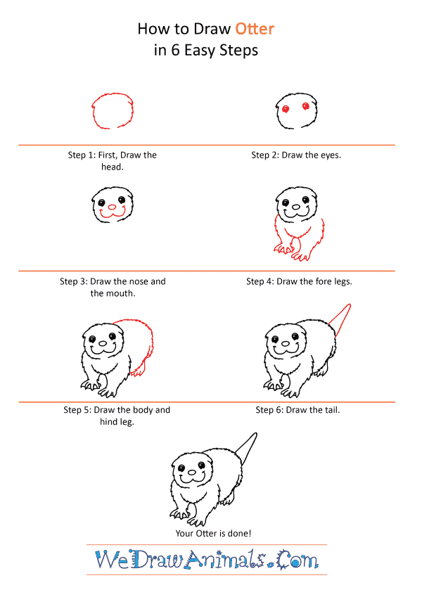 How to Draw a Cartoon Otter - Step-by-Step Tutorial