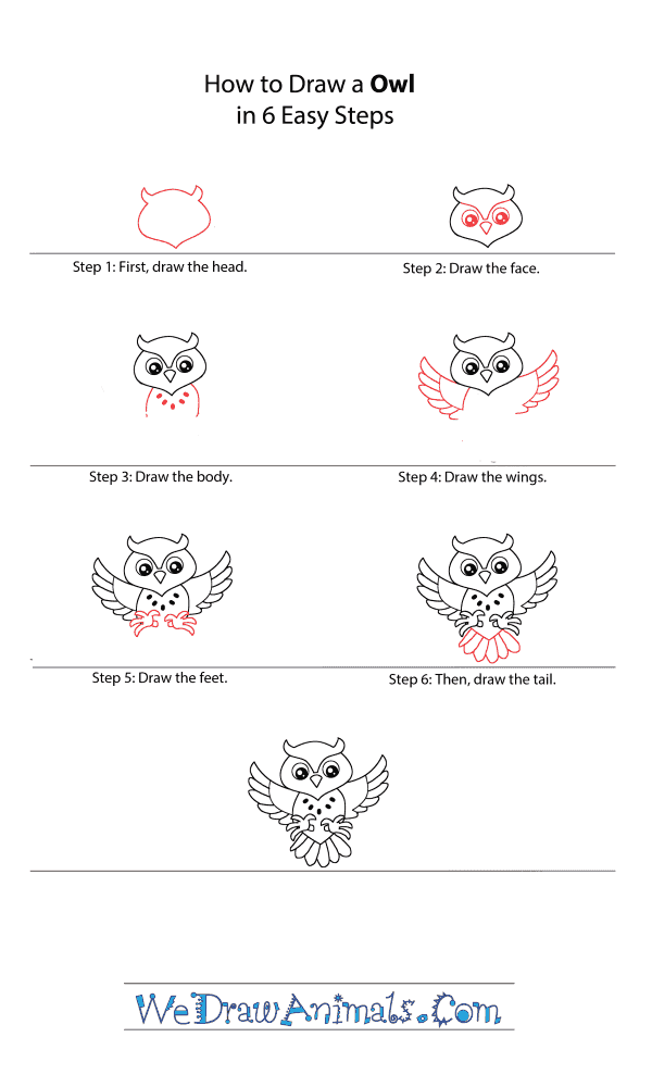 How to Draw a Cartoon Owl - Step-by-Step Tutorial