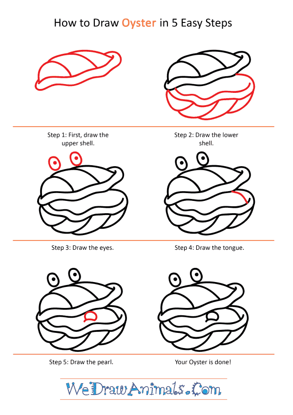 How to Draw a Cartoon Oyster - Step-by-Step Tutorial