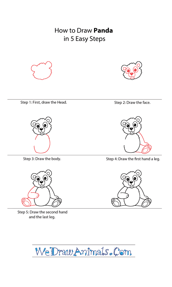 How to Draw a Cartoon Panda - Step-by-Step Tutorial