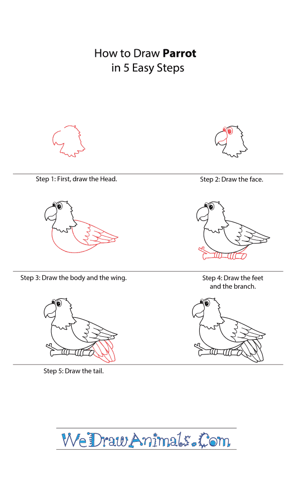 How to Draw a Cartoon Parrot - Step-by-Step Tutorial