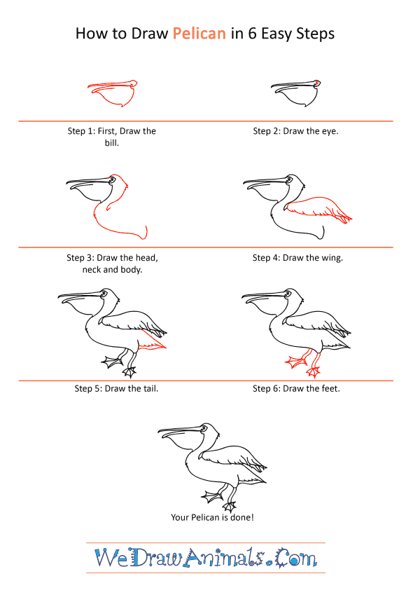 How to Draw a Cartoon Pelican - Step-by-Step Tutorial