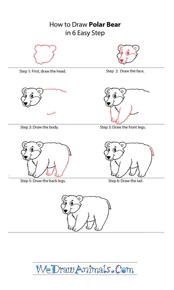 How to Draw a Cartoon Polar Bear - Step-by-Step Tutorial