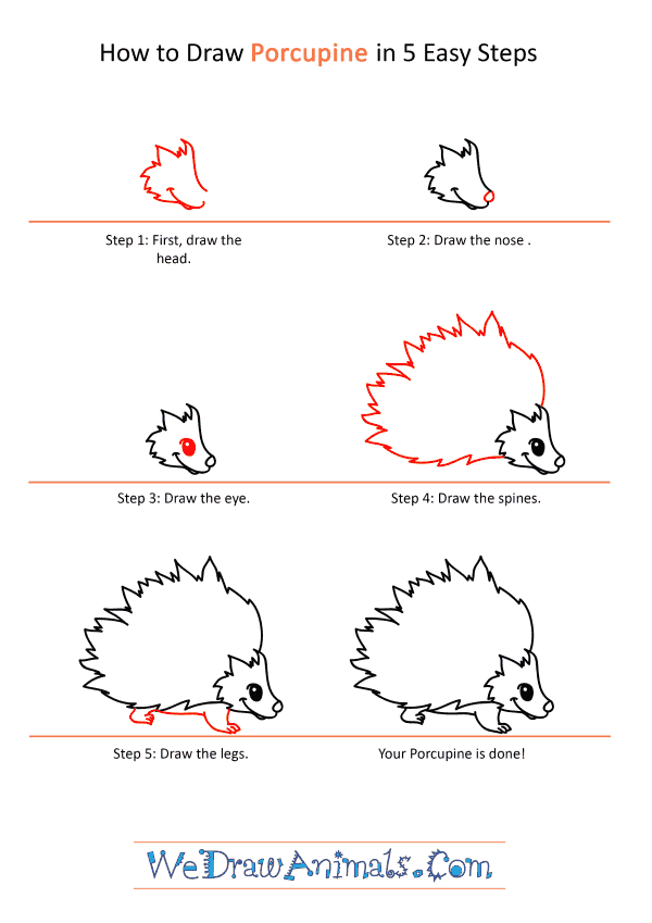 How to Draw a Cartoon Porcupine - Step-by-Step Tutorial