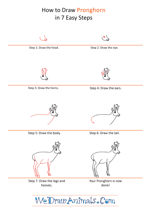 How to Draw a Cartoon Pronghorn - Step-by-Step Tutorial
