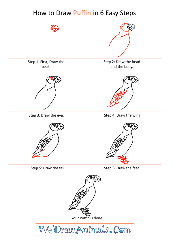 How to Draw a Cartoon Puffin - Step-by-Step Tutorial
