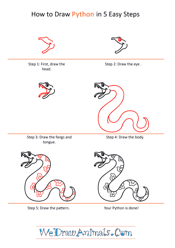 How to Draw a Cartoon Python - Step-by-Step Tutorial