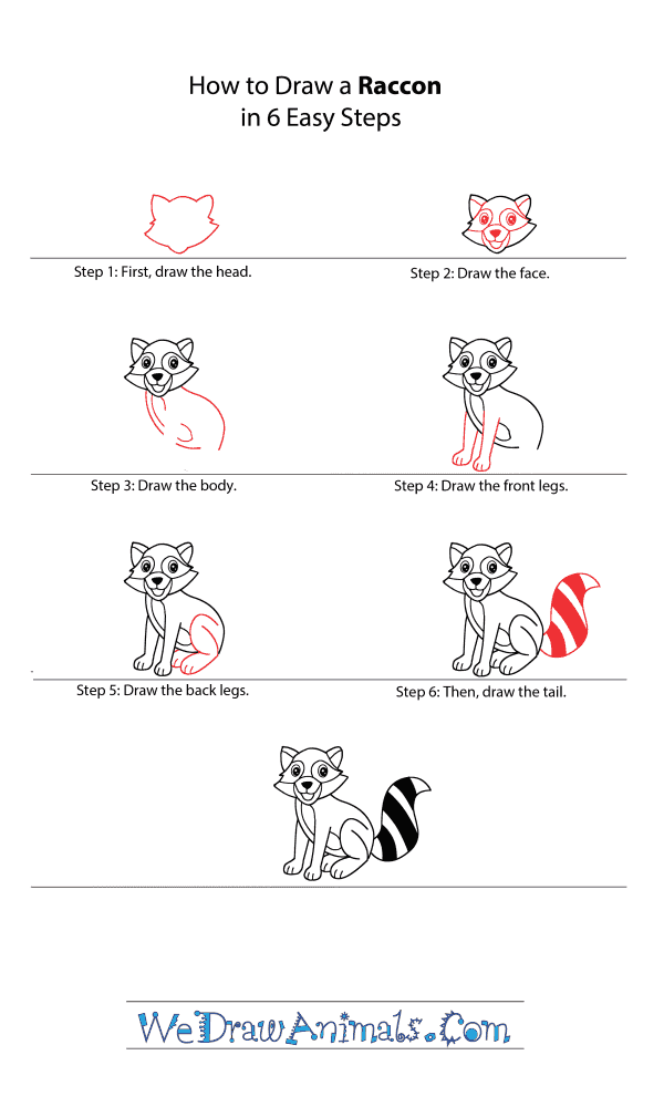 How to Draw a Cartoon Raccoon - Step-by-Step Tutorial