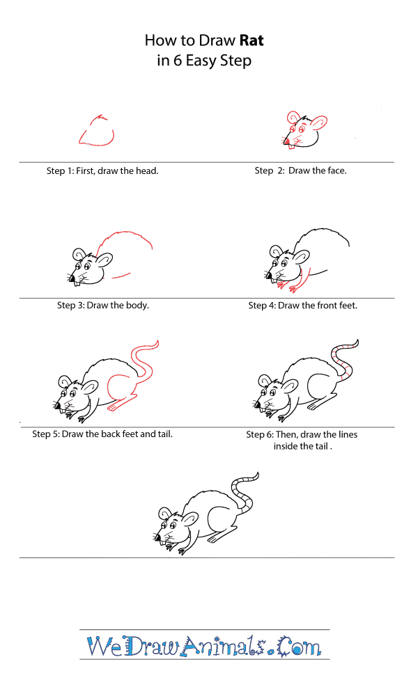 How to Draw a Cartoon Rat - Step-by-Step Tutorial