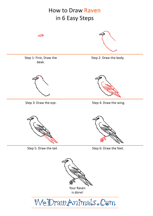 How to Draw a Cartoon Raven - Step-by-Step Tutorial