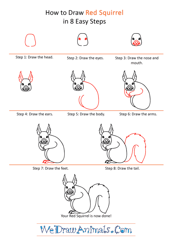 How to Draw a Cartoon Red Squirrel - Step-by-Step Tutorial