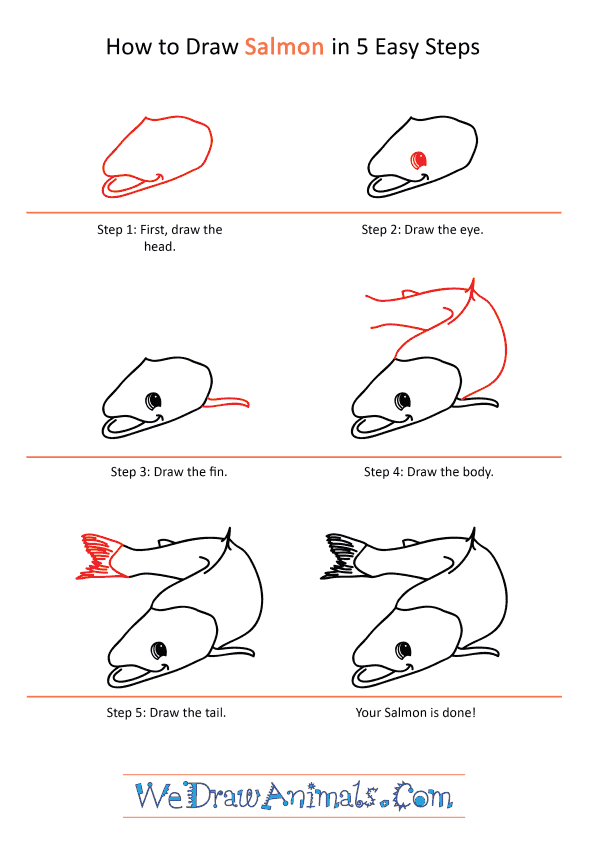 How to Draw a Cartoon Salmon - Step-by-Step Tutorial