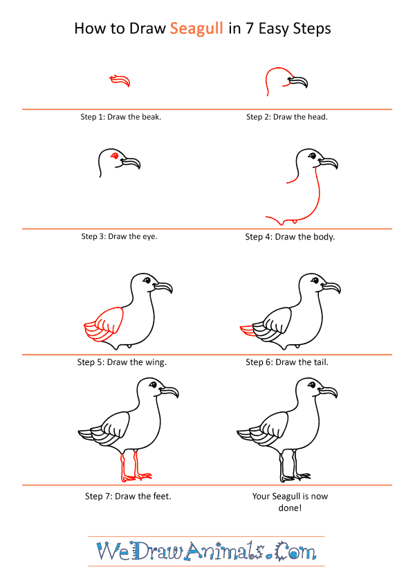 How to Draw a Cartoon Seagull - Step-by-Step Tutorial