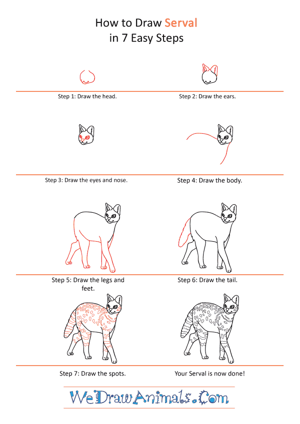 How to Draw a Cartoon Serval - Step-by-Step Tutorial