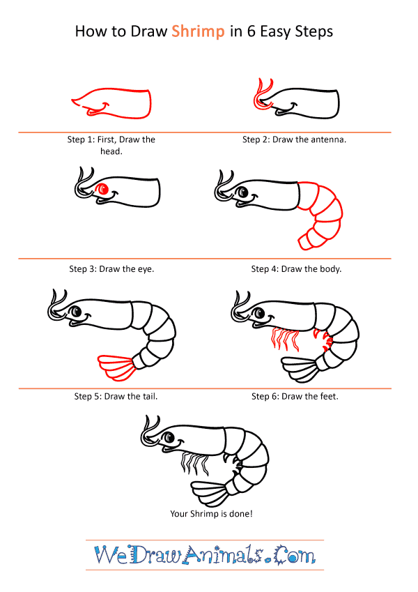 How to Draw a Cartoon Shrimp - Step-by-Step Tutorial