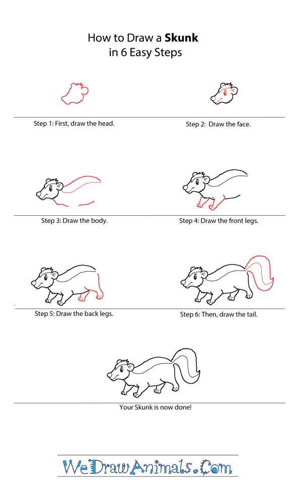 How to Draw a Cartoon Skunk - Step-by-Step Tutorial