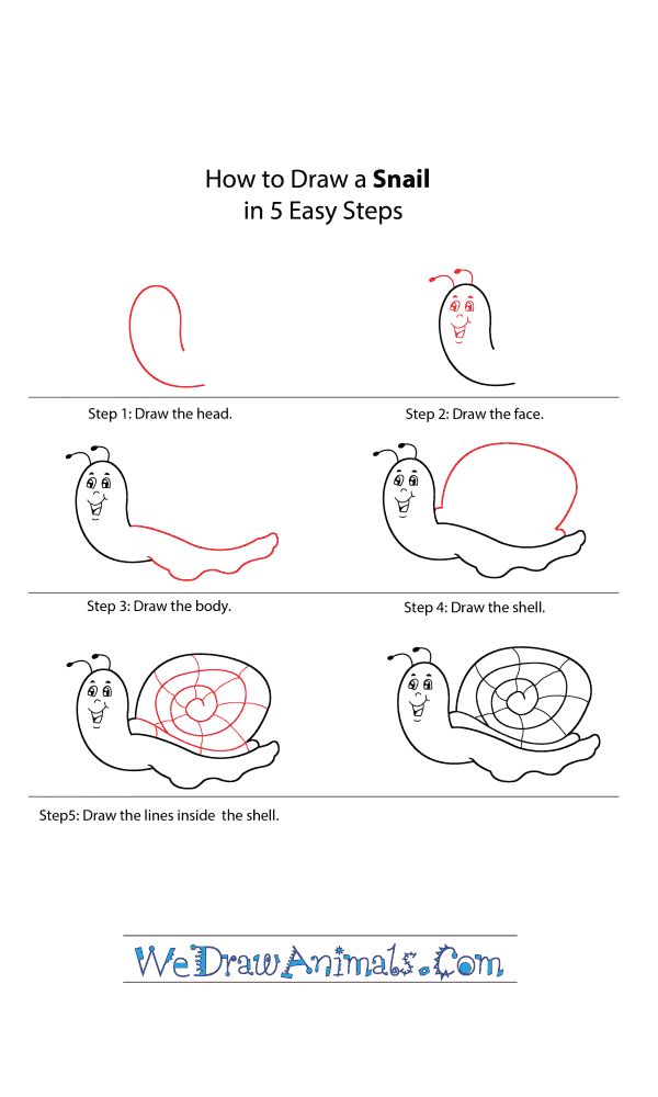 How to Draw a Cartoon Snail - Step-by-Step Tutorial