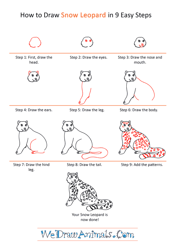 How to Draw a Cartoon Snow Leopard