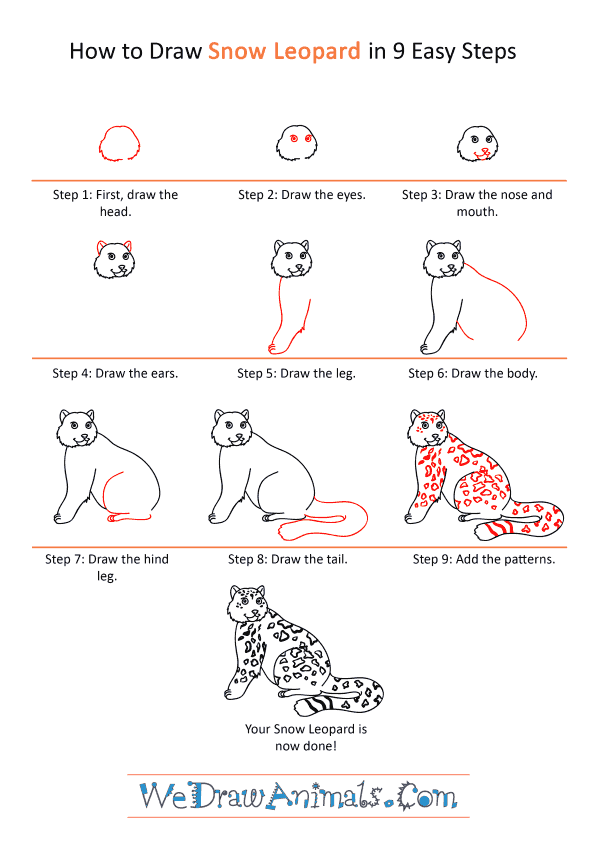 How to Draw a Cartoon Snow Leopard - Step-by-Step Tutorial