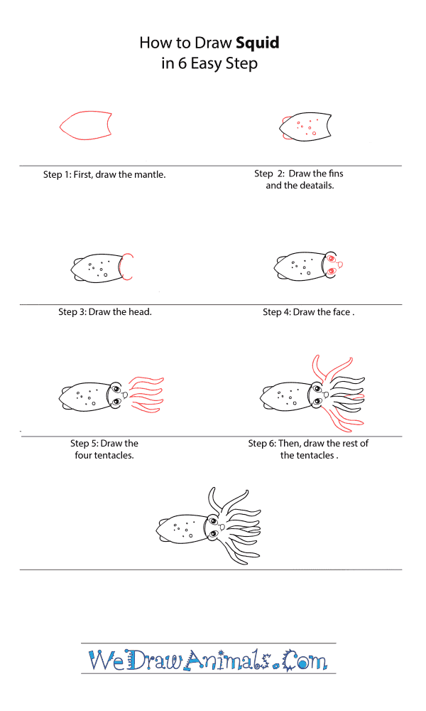 How to Draw a Cartoon Squid - Step-by-Step Tutorial