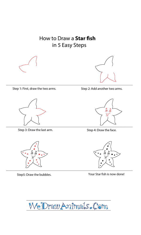 How to Draw a Cartoon Starfish - Step-by-Step Tutorial
