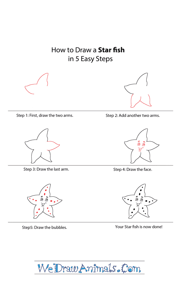 How to DRAW a STARFISH Easy Step by Step 