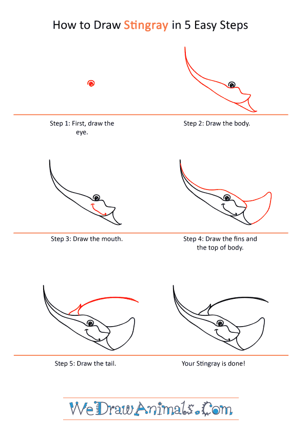 How to Draw a Cartoon Stingray - Step-by-Step Tutorial