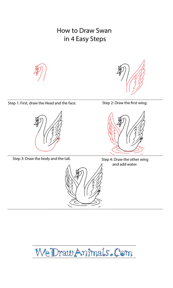 How to Draw a Cartoon Swan - Step-by-Step Tutorial
