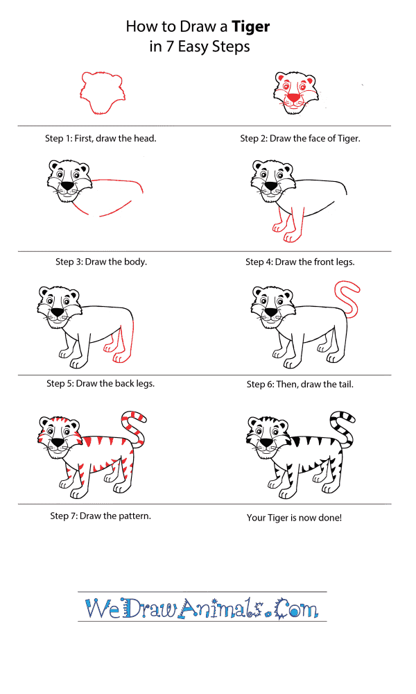 How to Draw a Cartoon Tiger - Step-by-Step Tutorial