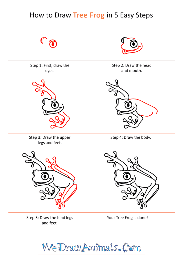 How to Draw a Cartoon Tree Frog - Step-by-Step Tutorial