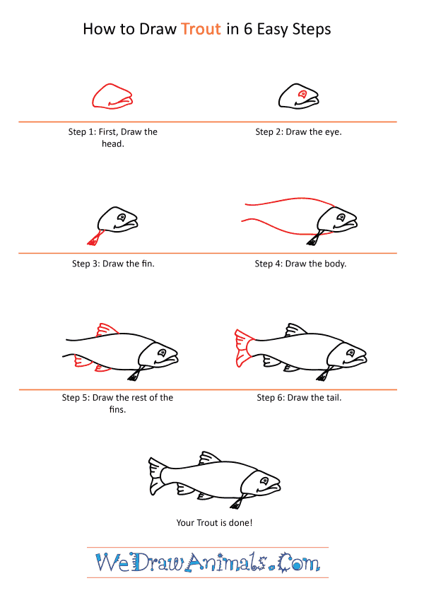 How to Draw a Cartoon Trout - Step-by-Step Tutorial