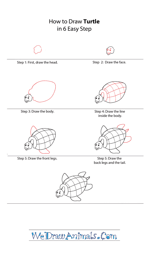How to Draw a Cartoon Turtle - Step-by-Step Tutorial