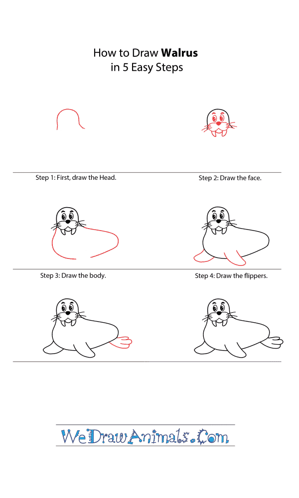 How to Draw a Cartoon Walrus - Step-by-Step Tutorial
