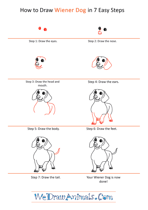 How to Draw a Cartoon Wiener Dog - Step-by-Step Tutorial