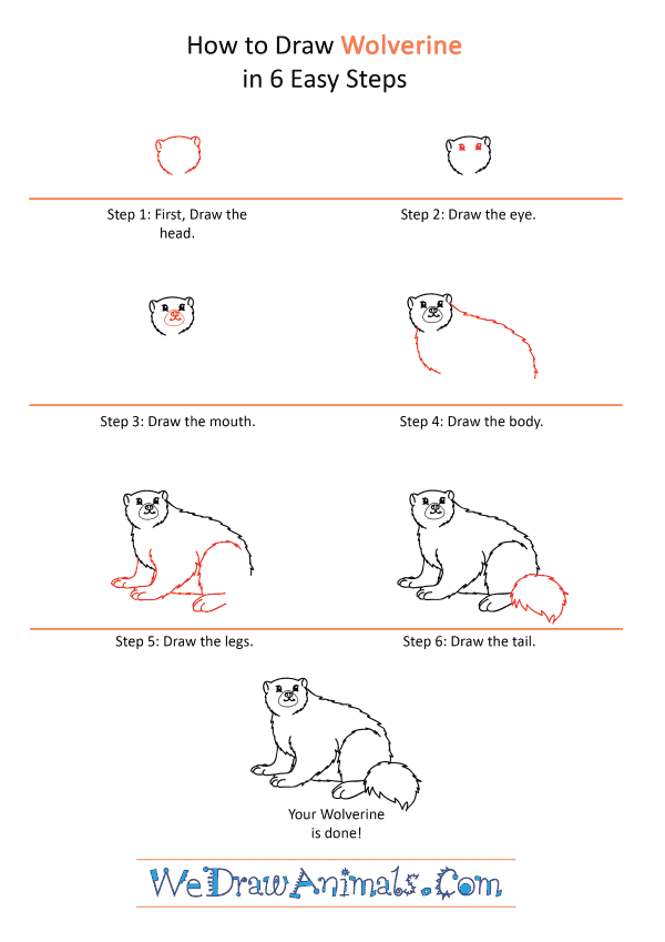 How to Draw a Cartoon Wolverine - Step-by-Step Tutorial