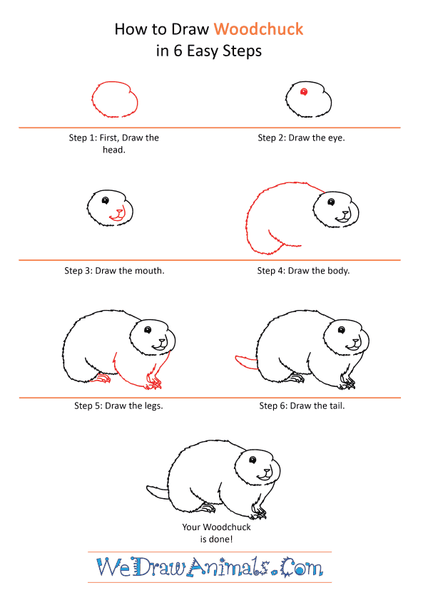 How to Draw a Cartoon Woodchuck - Step-by-Step Tutorial