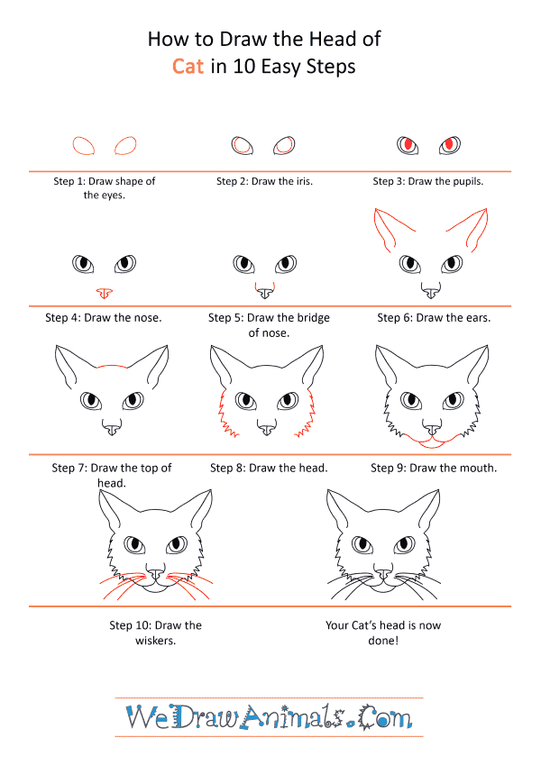How to Draw a Cat Face - Step-by-Step Tutorial