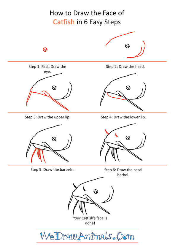 How to Draw a Catfish Face - Step-by-Step Tutorial